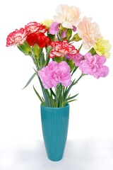 Posy of multicolor fragrant carnations close up