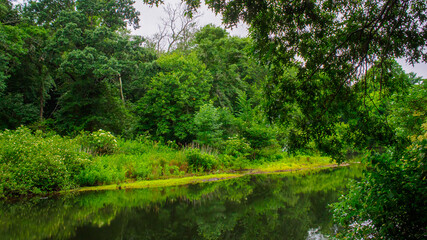 Nature Photos of New England by Constantine