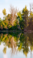 Fototapeta na wymiar Kootenai River Scenes