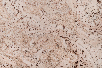 Light brown cork material with dark brown spots close up. Fragment of cork floor, wall, board. Smooth and pleasant to the touch cork material. Background and texture of light brown color from cork.