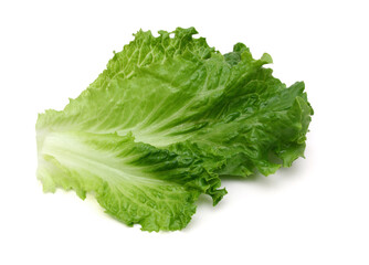 Bunch of fresh green salad isolated over white