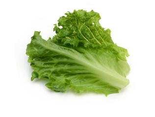 Bunch of fresh green salad isolated over white