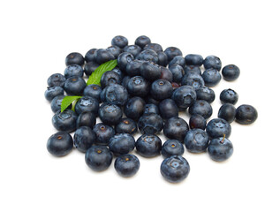 Blue berry on white background 