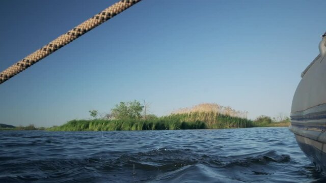 Angler releases the zander fish from the boat