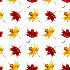 Seamless pattern with maple leaves on white background Hand draw illustration.