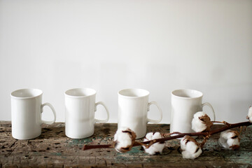 Four tall white cups on an old wooden bench. Dry branch with cotton flowers.