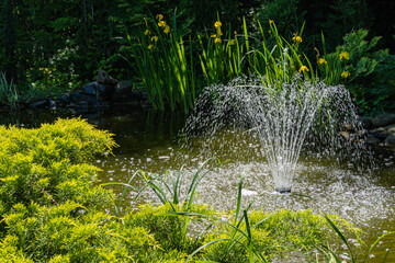 Magical garden pond with blooming water lilies and lotuses. Cascading fountain in center. Evergreens are reflected in water like in mirror. Atmosphere of relaxing holiday and happiness.