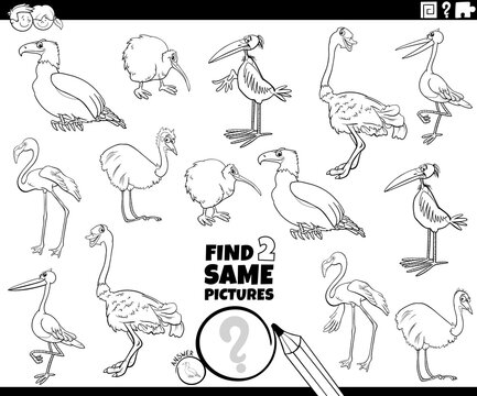 find two same birds game coloring book page