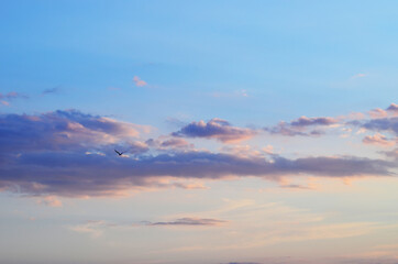 Naklejka na ściany i meble Evening cloudy sky,photo 