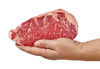 fresh raw steak
