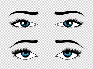 Fototapeta premium Vector eyes. Hand drawn female luxury eye with perfectly shaped eyebrows and full eyelashes. The perfect look. Health glamour design