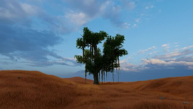 Baobab tree in African landscape