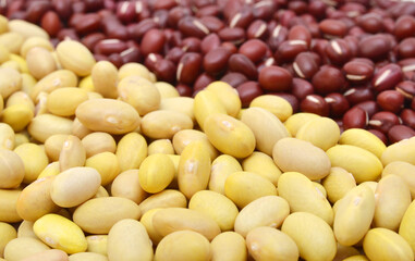 Yellow Beans and adzuki beans on background