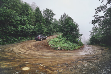 Landscape of serpentine dirt road in forest during wet foggy weather © Goffkein