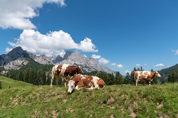 Fototapeta na wymiar Berchtesgadener Land - 1