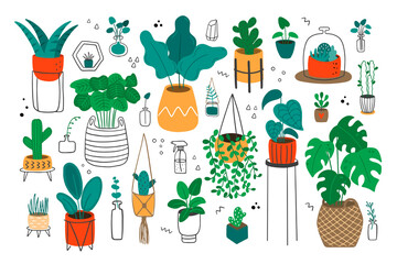 Hand-drawn vector illustration with flowers in pots.