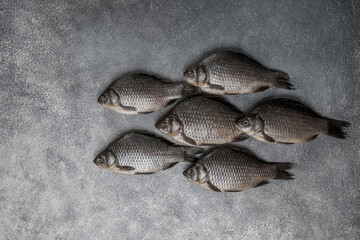 Crucian river fish on a gray background, top view