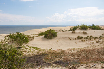 Curonian spit in the Kaliningrad region