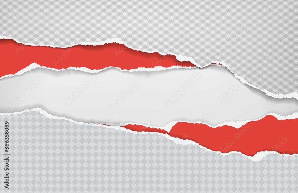 Poster pieces of torn and horizontal white squared and red paper with soft shadow are on white background f