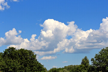 unusual cloud shapes in the summer sky