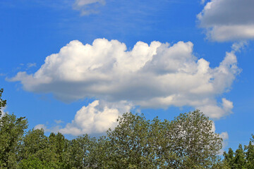 unusual cloud shapes in the summer sky
