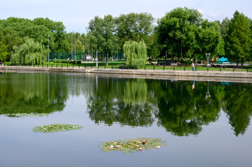 Fototapeta premium Great Grafsky pond in the park 