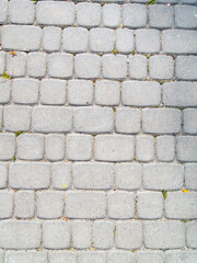 Regular gray stone paving