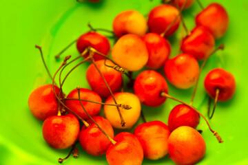 Red and yellow ripe cherries in a green plate