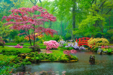 Kleine brug in Japanse tuin in regen, Park Clingendael, Den Haag, Nederland