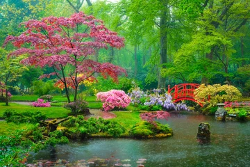 Foto op Plexiglas Tuin Kleine brug in Japanse tuin in regen, Park Clingendael, Den Haag, Nederland