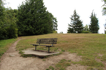 Bench by a hiking trail