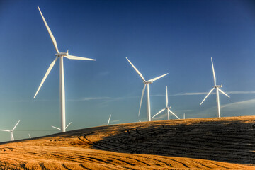 Wind generators in Sherman County Oregon wheat country are shown against a blue sky.    Located a few miles south of the Columbia River Gorge.