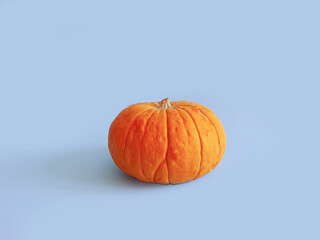 Juicy pumpkin on a pastel blue background. Autumn, fall, halloween concept. Trend shadow, copy space.