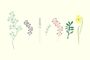 Wedding frame. Herbal minimalistic vector frame. Herbal logo. Botanical art design. All elements are isolated and editable. EPS 10