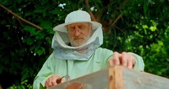 Portrait of a beekeeper in a protective suit at the apiary. Beekeeper pulls out the frame with the honeycomb from the hive, the bees sit on the combs. 4k, 10bit, ProRes