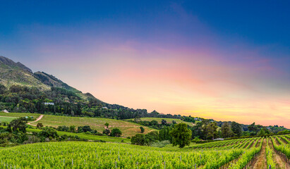Constantia wine valley a view from constantia glen wine estate cape town South Africa