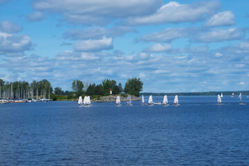 People enjoying a park and sailing on the water