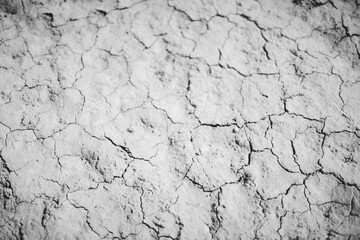 Cracked desert ground