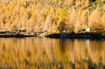 lago - autunnale - acqua - paesaggio - natura - alberi