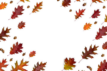 Frame of autumnal oak leaves and acorns on white background with space for text. Top view, flat lay