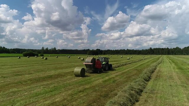 Tractor rolls dry grass rollers, view from the drone