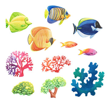 Watercolor colorful sea fishes and corals set isolated on white background. Marine flora and fauna.