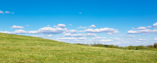 Green field and sun against a blue sky with clouds. The nature of Belarus. A beautiful place to travel and relax with your family. Can be used as a picture for interior decoration.