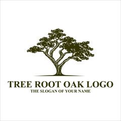 Obraz premium Root Of The Tree logo illustration. Vector silhouette of a tree, Abstract vibrant tree logo design, root vector - Tree of life logo design inspiration isolated on white background, 