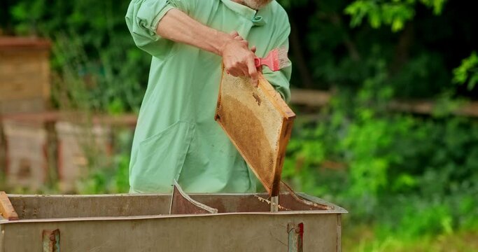 Beekeeper removes the top layer from the honeycomb, zabrus. Beekeeper handles the honeycomb, works on an apiary. 4k, 10bit, ProRes