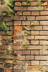 brick brown wall texture. background of a old brick house.