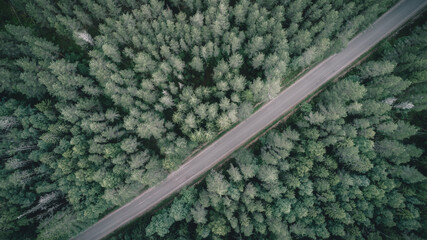 Top down view of the dirt road in dark forest at summer cloudy day. aerial photography
