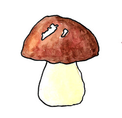 Watercolor one white porcini mushroom isolated