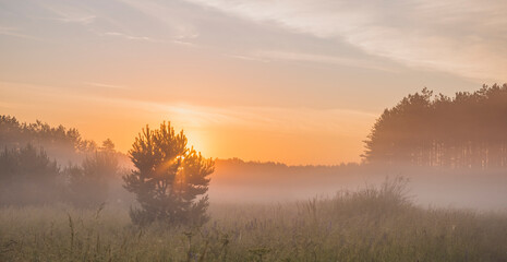 Fototapeta na wymiar Early morning fog in rural environment