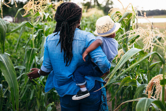 Rear view of mother carrying her son through corn field